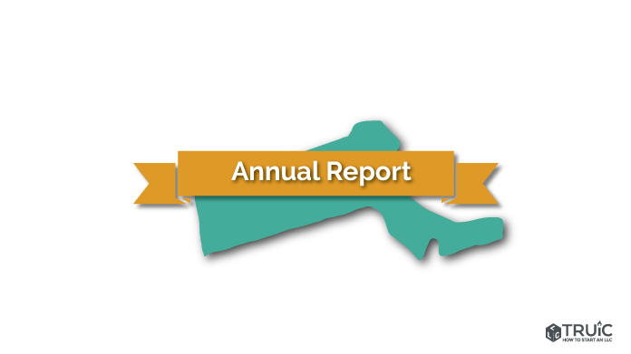 Massachusetts LLC Annual Report Image