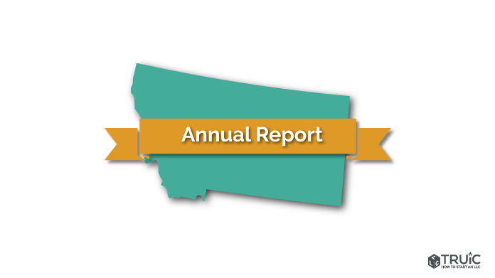 Montana LLC Annual Report Image