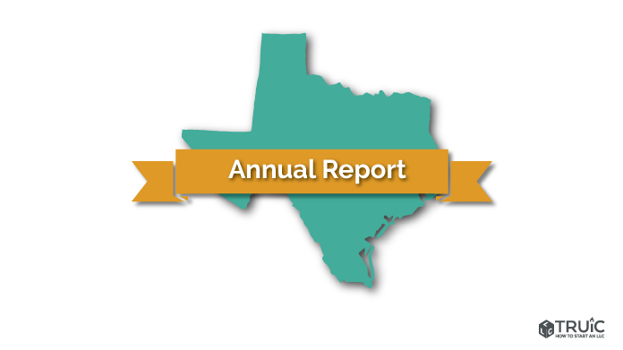 Texas LLC Annual Report Image