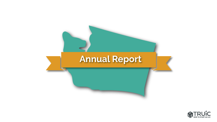 Washington LLC Annual Report Image