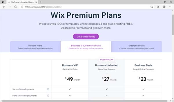wix business plan cost