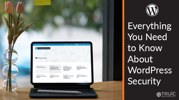 Learn everything you need to know about WordPress security.