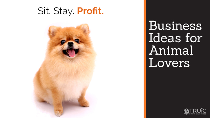Pet Business Ideas - Animal Lover Ideas | TRUIC