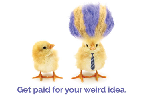 A baby chick looking at a different chick with wild blue-striped hair with the caption Get paid for your weird idea
