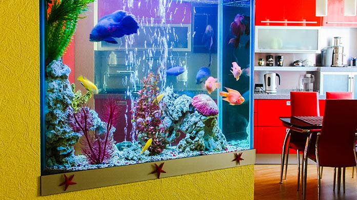Aquarium Maintenance Business