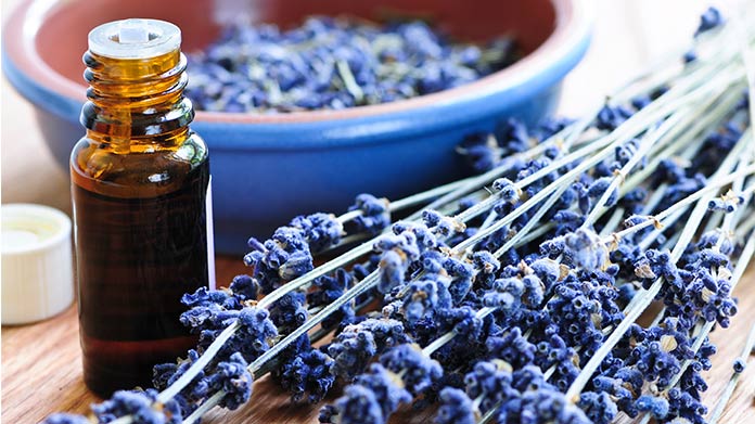 A bottle of essential oil next to a sprig of lavender