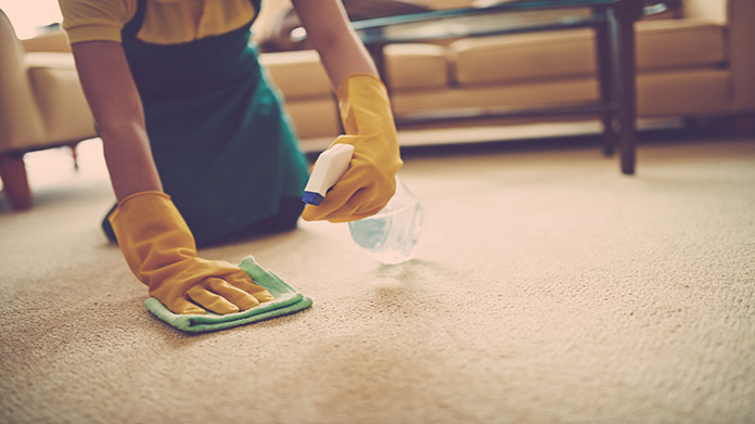 Carpet and Upholstery Cleaning Business Image