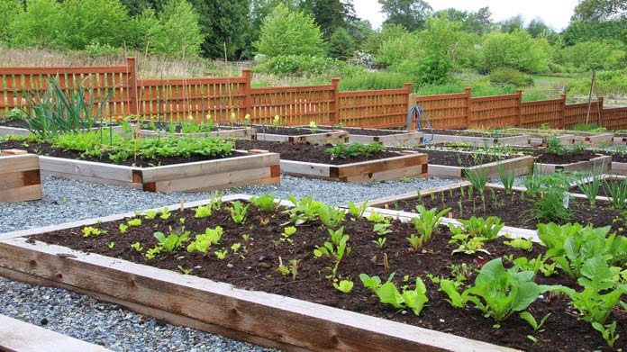 A Community Garden with Planters 