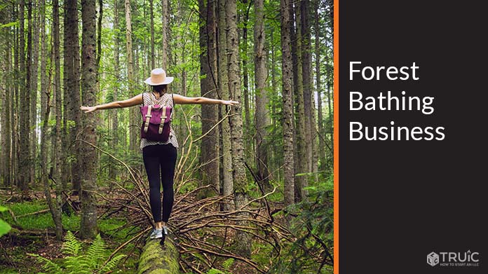 Forest Bathing Business Image