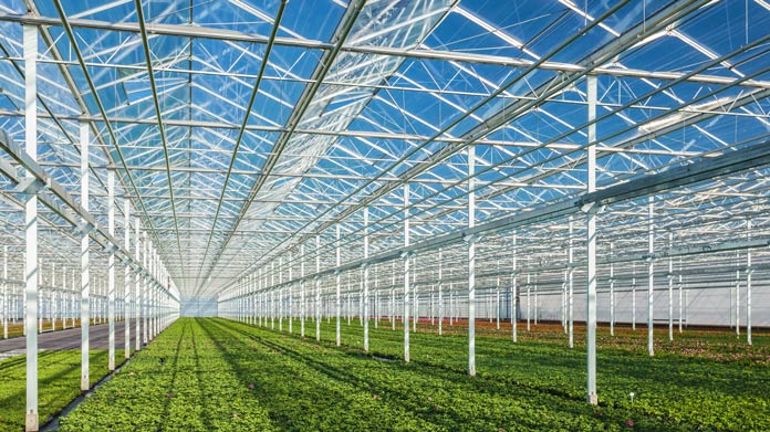 Greenhouse Business Image