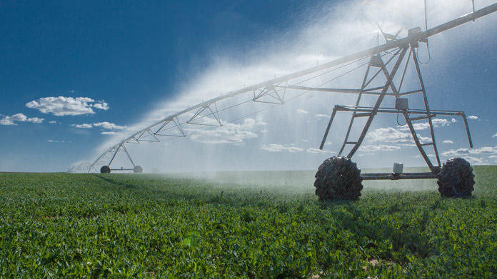 A field using an irrigation system
