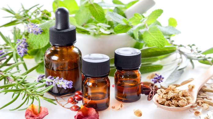 Medicinal Herbs Business Image