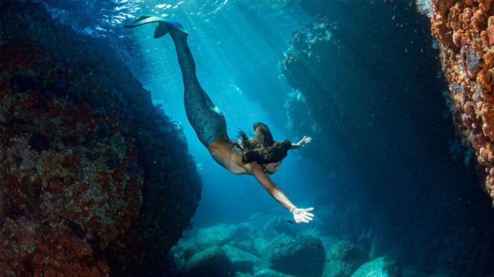 Woman dressed in a mermaid costume diving in a reef 