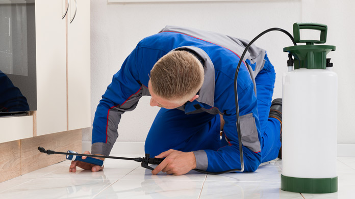 How to Start a Pest Control Service | TRUiC