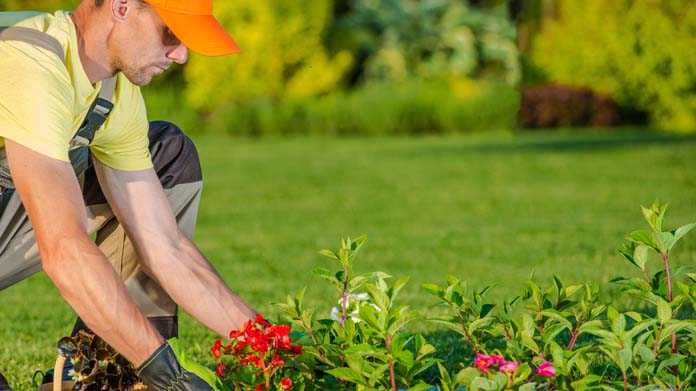 Responsible Landscaping Business Image