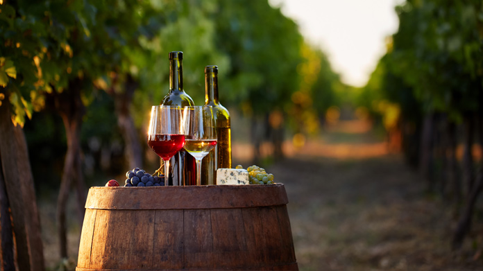 Vineyard Business Image