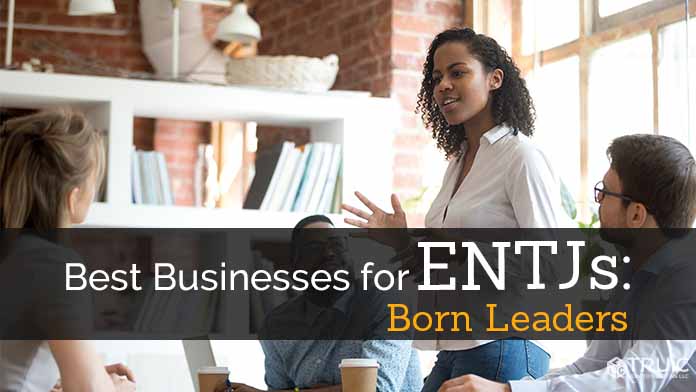 ENTJ Business Ideas image