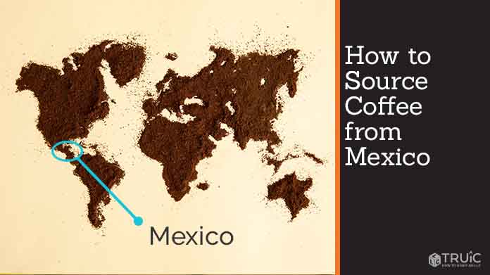 Learn how to source coffee from Mexico