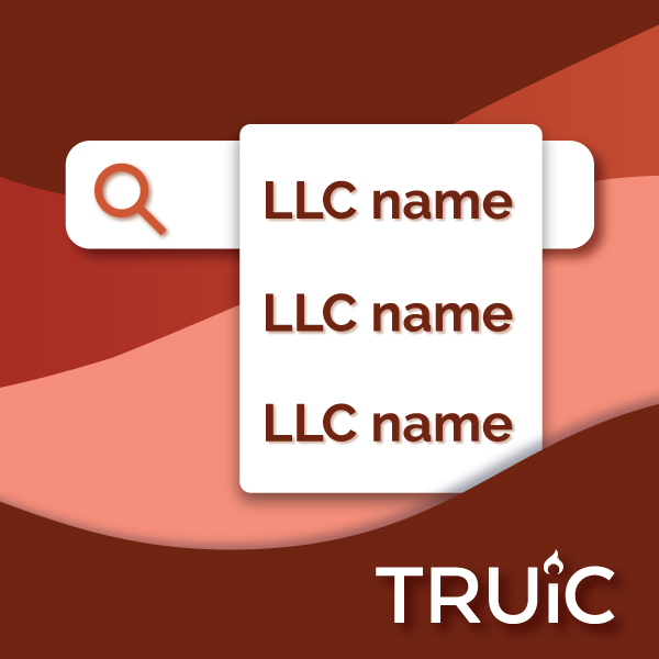 L L C Name generator icon
