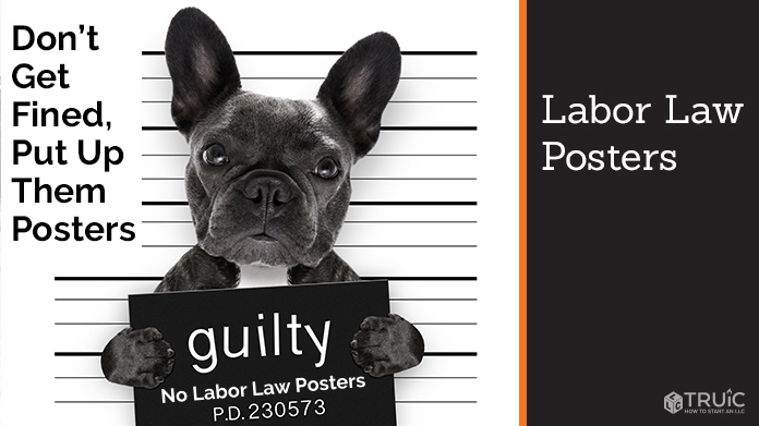Mugshot of a guilty pug, advising Dont Get Fined, Put Up Them Posters