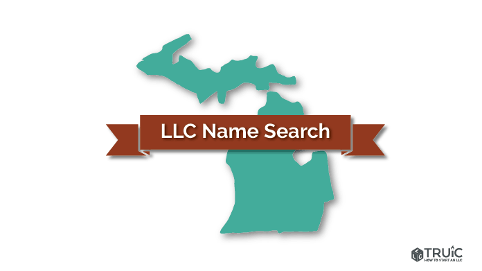 Michigan LLC Name Search Image