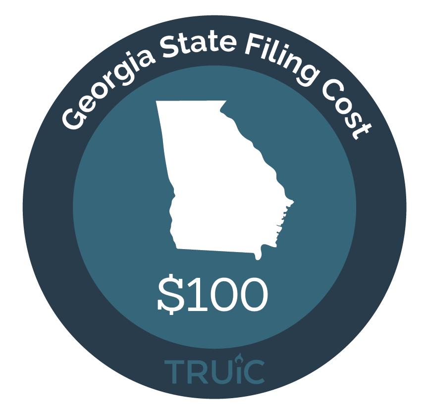 Georgia State map icon with filing cost