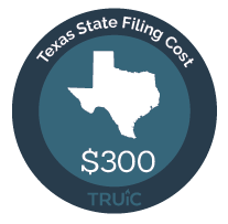 How To Start An LLC In Texas (2024 Guide)